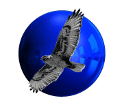 Hawk Ridge Systems